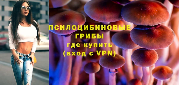 ГАЛЛЮЦИНОГЕННЫЕ ГРИБЫ Медвежьегорск