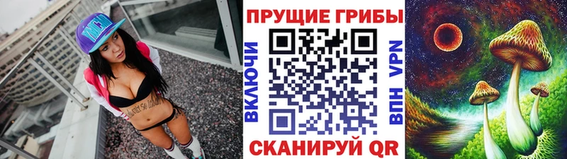 купить закладку  Батайск  Псилоцибиновые грибы Psilocybe 