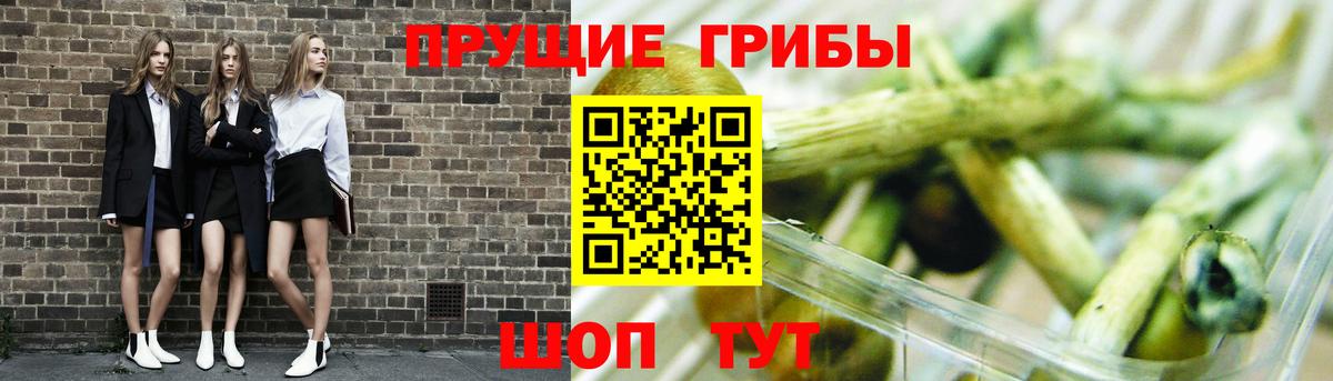 Псилоцибиновые грибы Magic Shrooms  Вход с VPN  Батайск 