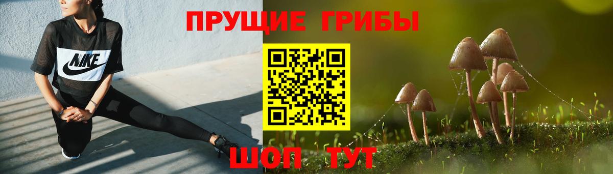 Псилоцибиновые грибы ЛСД Батайск